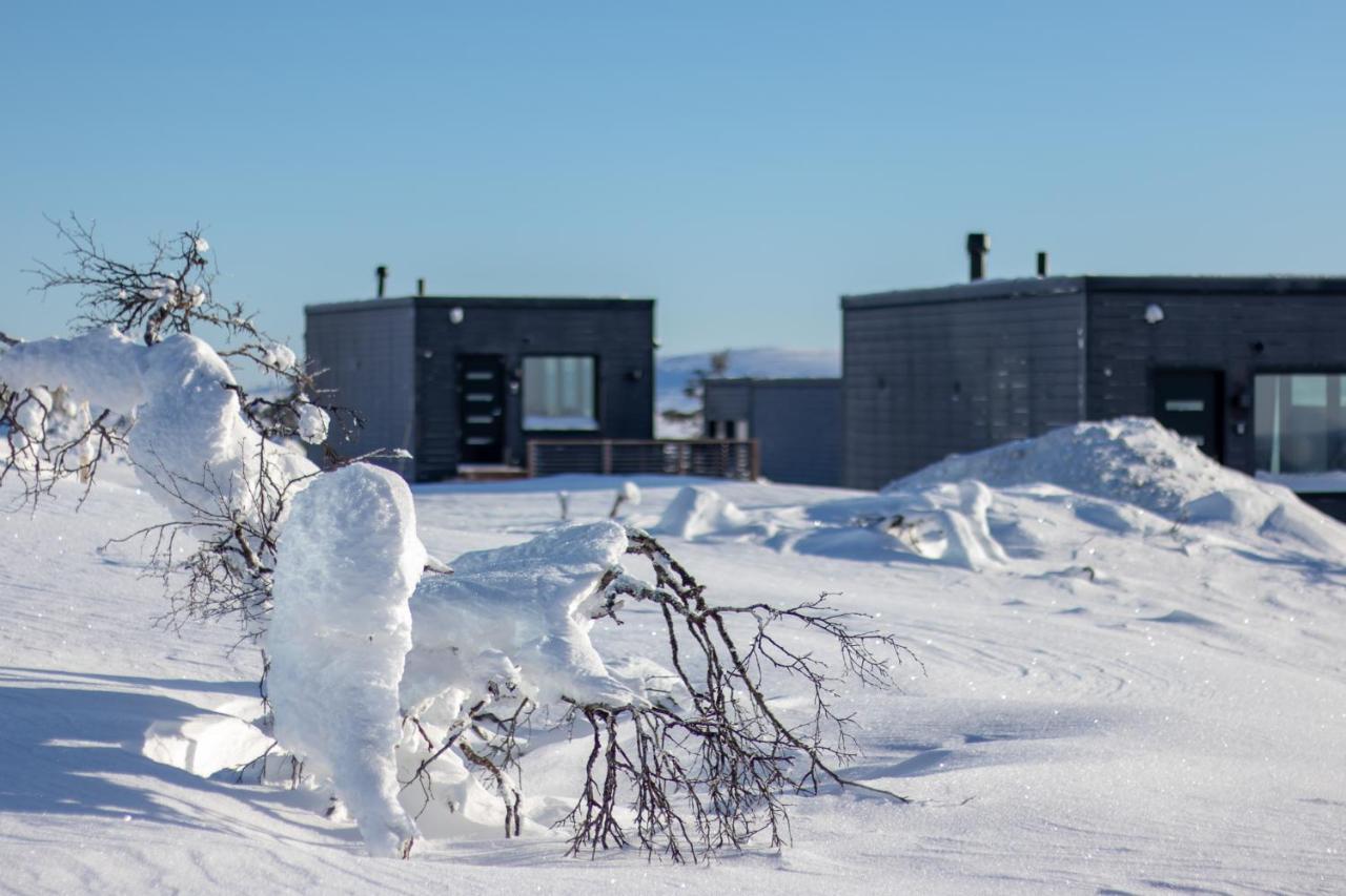 Top Star Saariselka - Arctic Glass Cubes Exterior photo